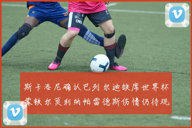 斯卡洛尼确认巴列尔迪缺席世界杯蒙铁尔莫利纳帕雷德斯伤情仍待观察