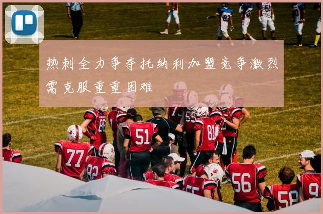 热刺全力争夺托纳利加盟竞争激烈需克服重重困难